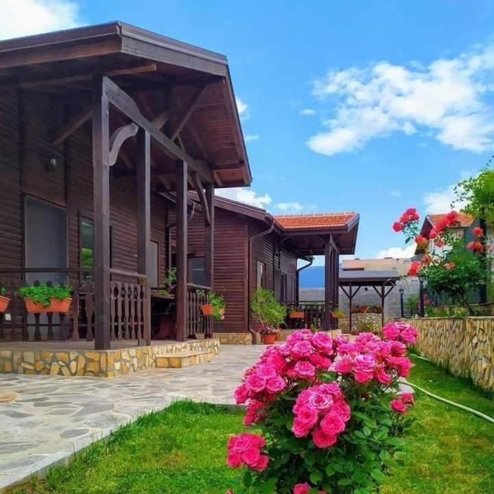 Andreevite Houses Сапарева-Баня Экстерьер фото